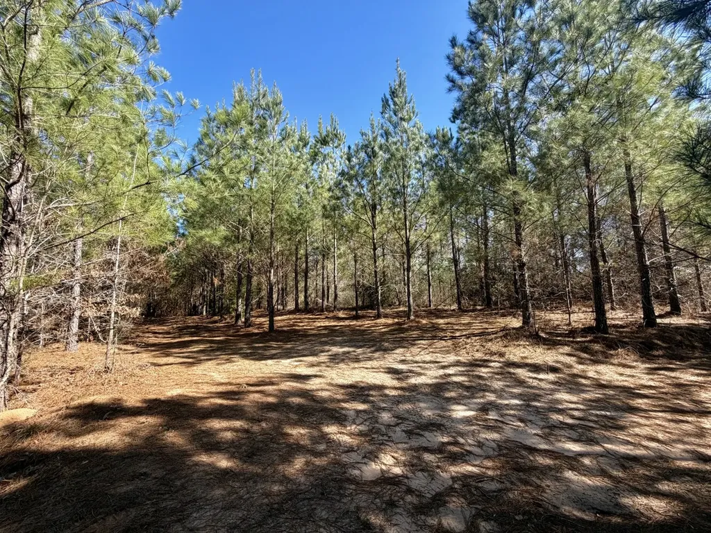 0 Pineapple Highway Greenville AL 36037