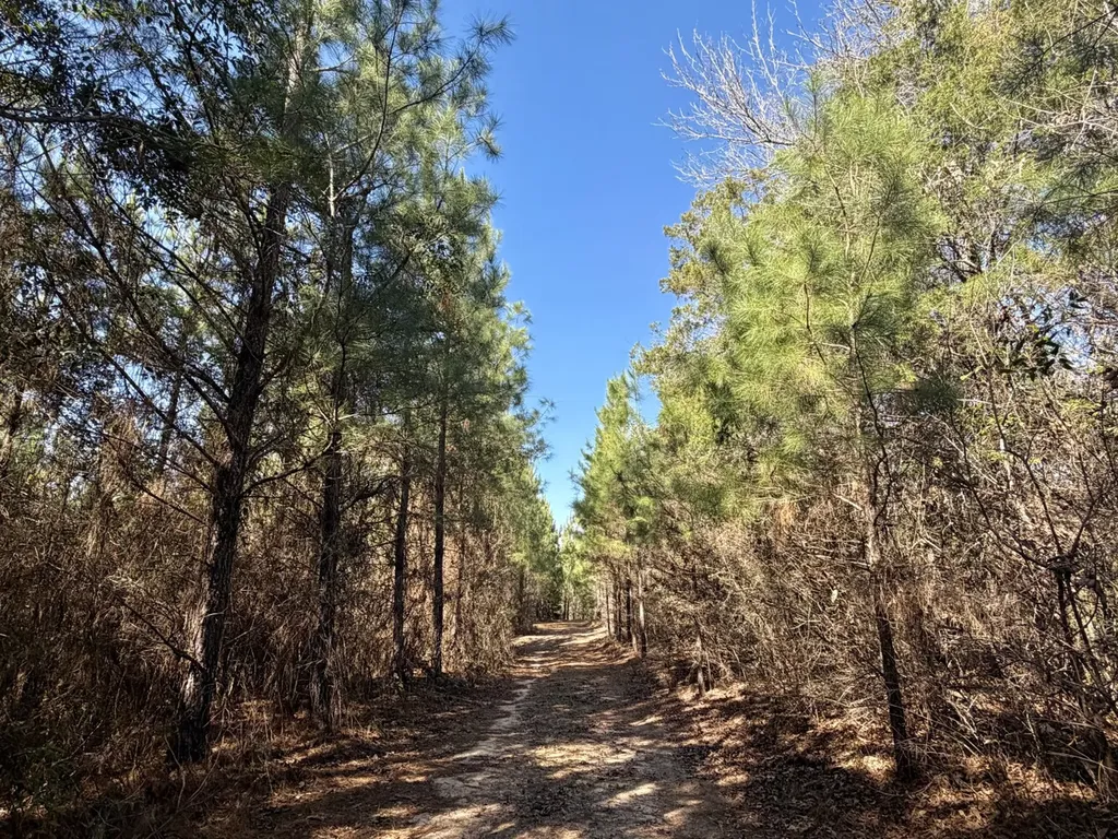 0 Pineapple Highway Greenville AL 36037