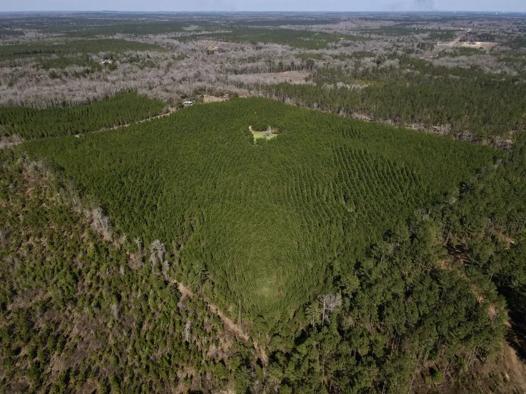 0 Pineapple Highway Greenville AL 36037