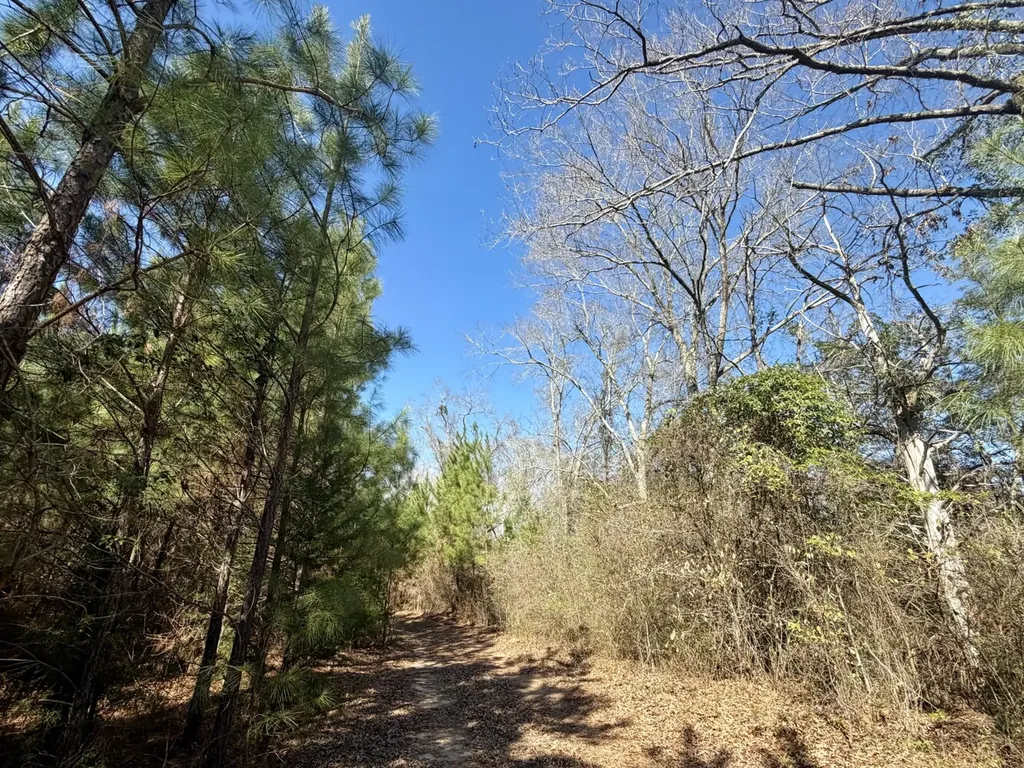 0 Pineapple Highway Greenville AL 36037