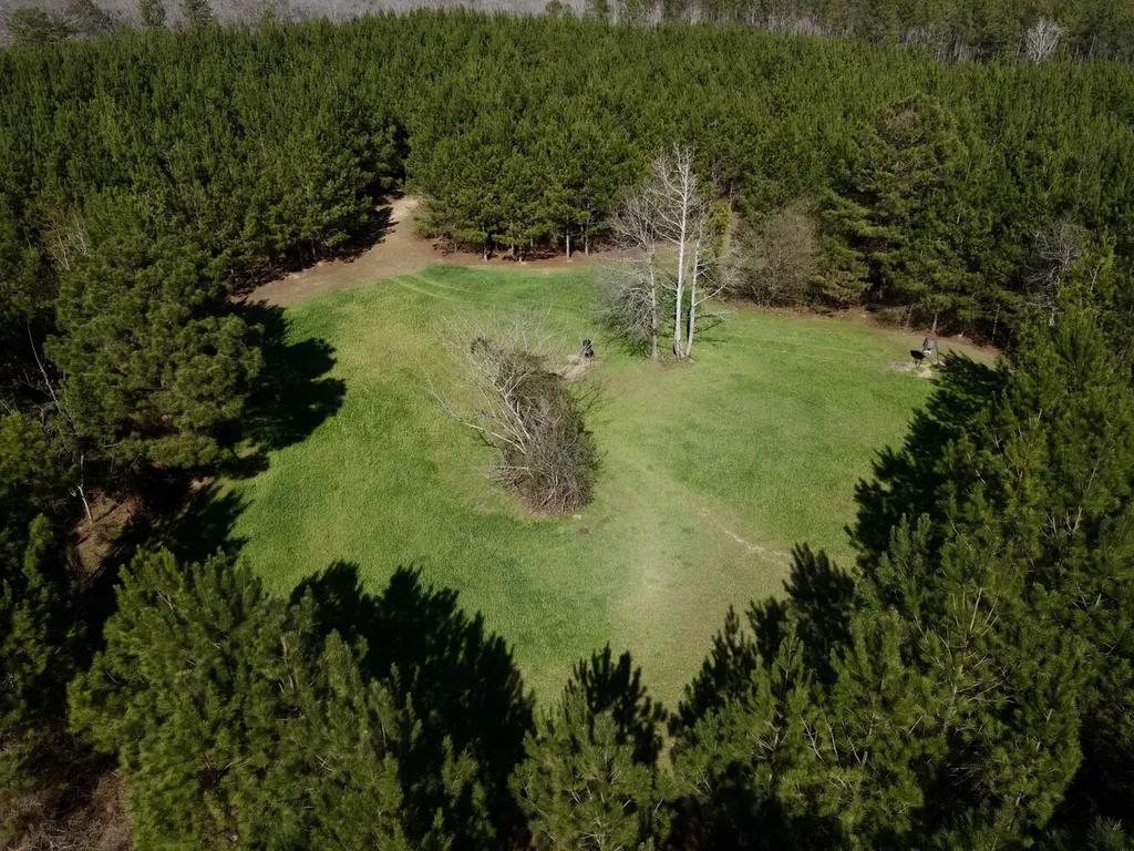 0 Pineapple Highway Greenville AL 36037