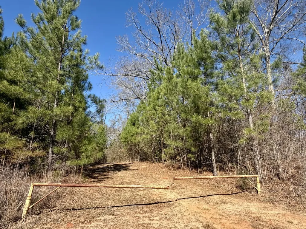 0 Pineapple Highway Greenville AL 36037