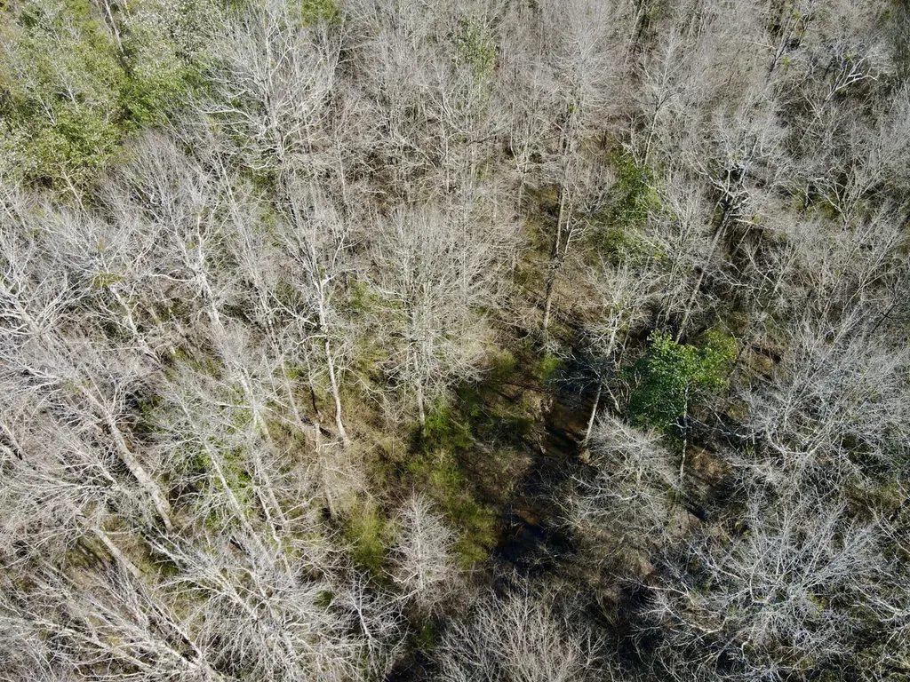 0 Pineapple Highway Greenville AL 36037