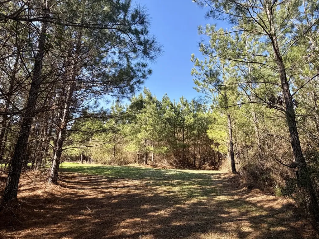 0 Pineapple Highway Greenville AL 36037