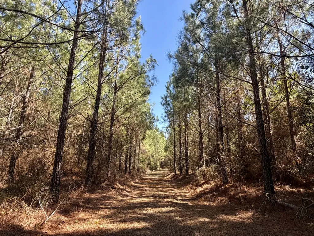 0 Pineapple Highway Greenville AL 36037