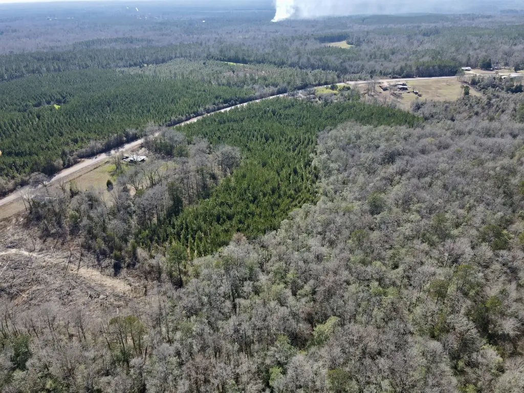 0 Pineapple Highway Greenville AL 36037