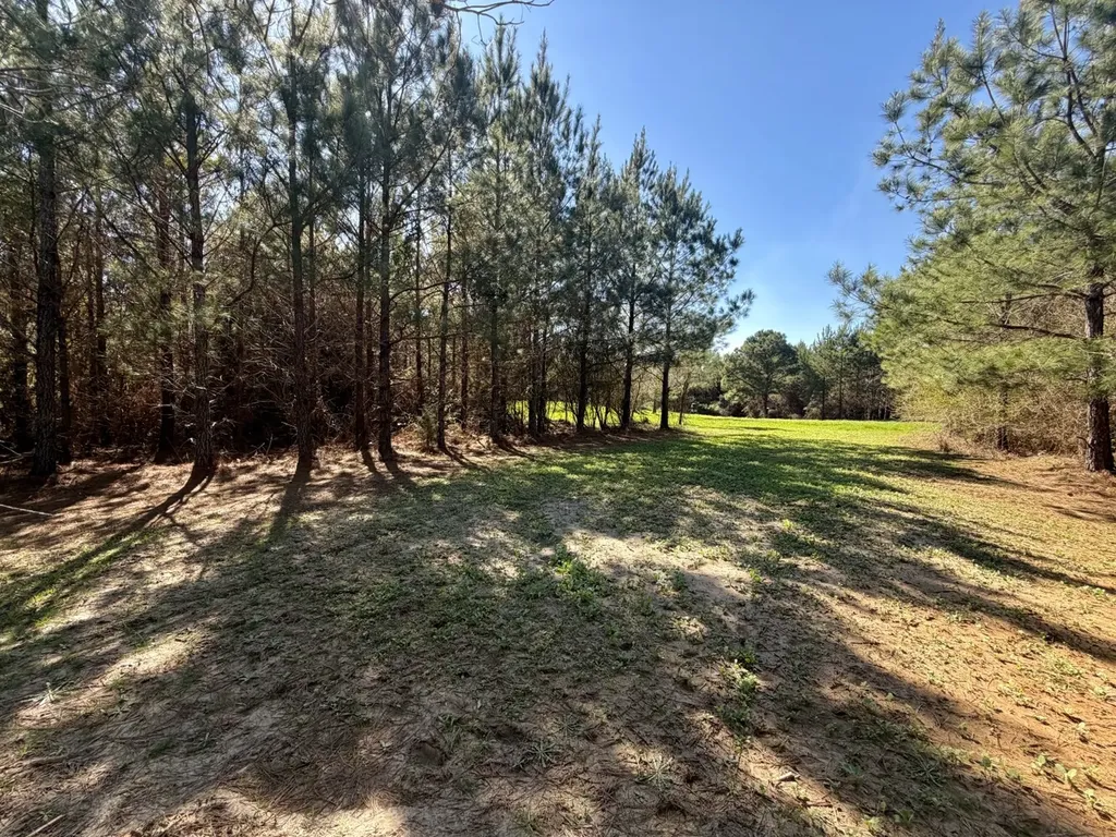 0 Pineapple Highway Greenville AL 36037