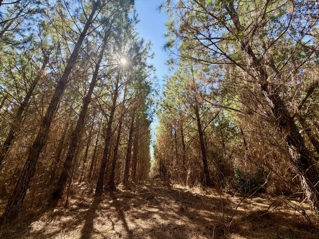 0 Pineapple Highway Greenville AL 36037