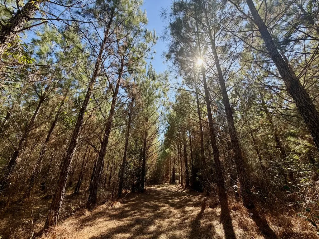 0 Pineapple Highway Greenville AL 36037