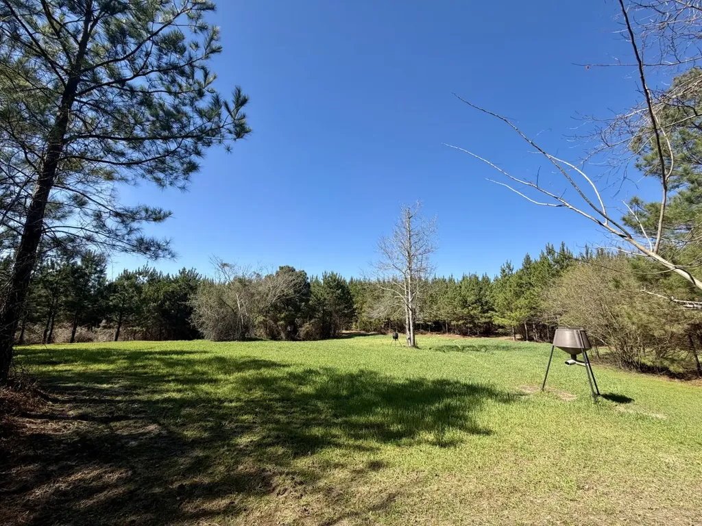 0 Pineapple Highway Greenville AL 36037