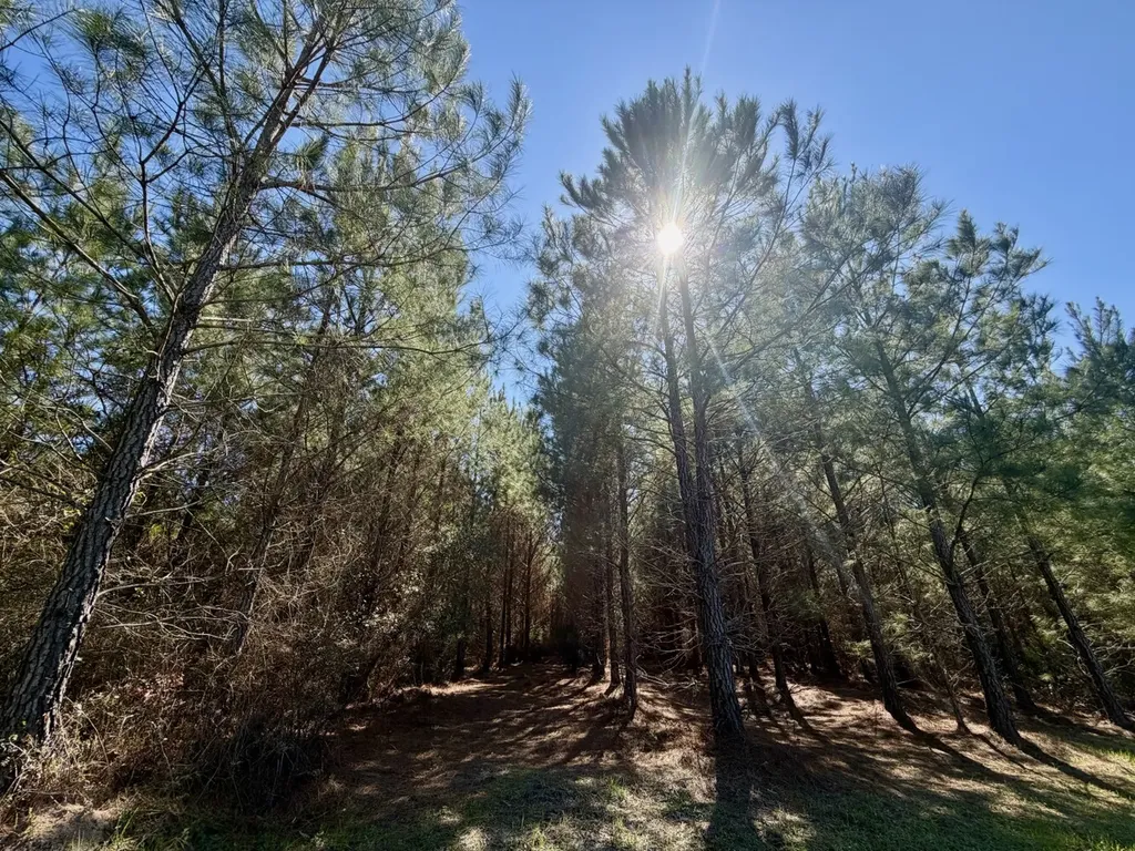 0 Pineapple Highway Greenville AL 36037