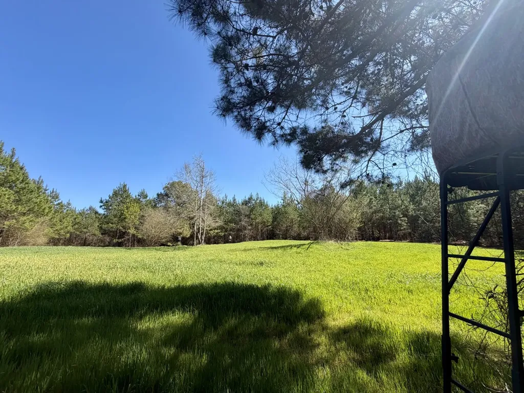 0 Pineapple Highway Greenville AL 36037