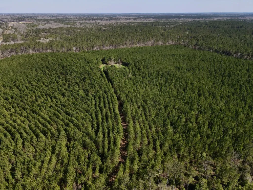 0 Pineapple Highway Greenville AL 36037