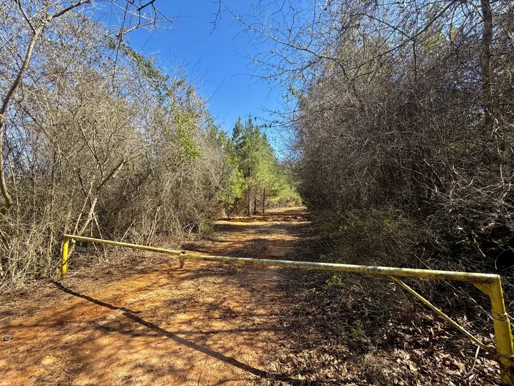 0 Pineapple Highway Greenville AL 36037