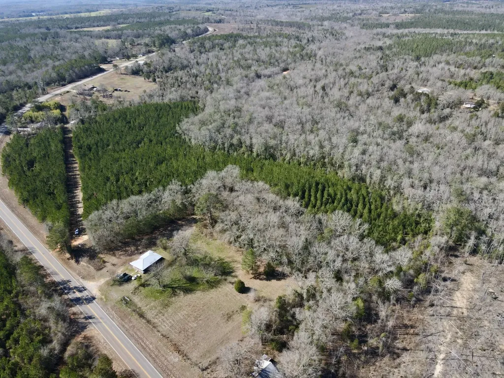 0 Pineapple Highway Greenville AL 36037