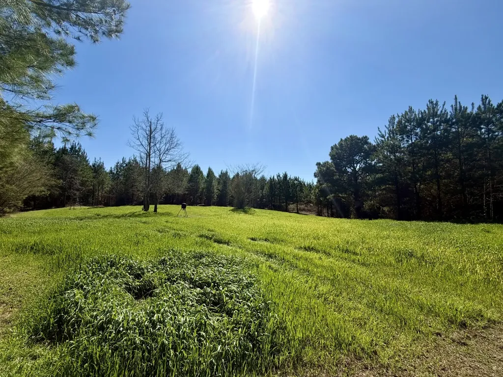 0 Pineapple Highway Greenville AL 36037