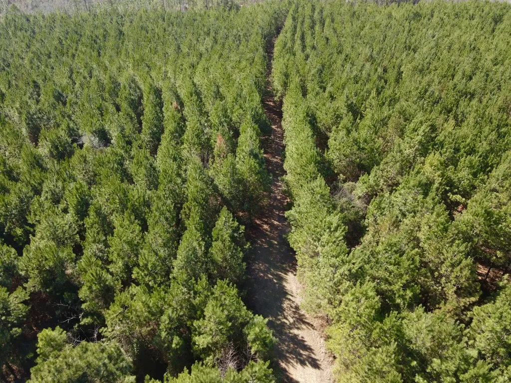 0 Pineapple Highway Greenville AL 36037