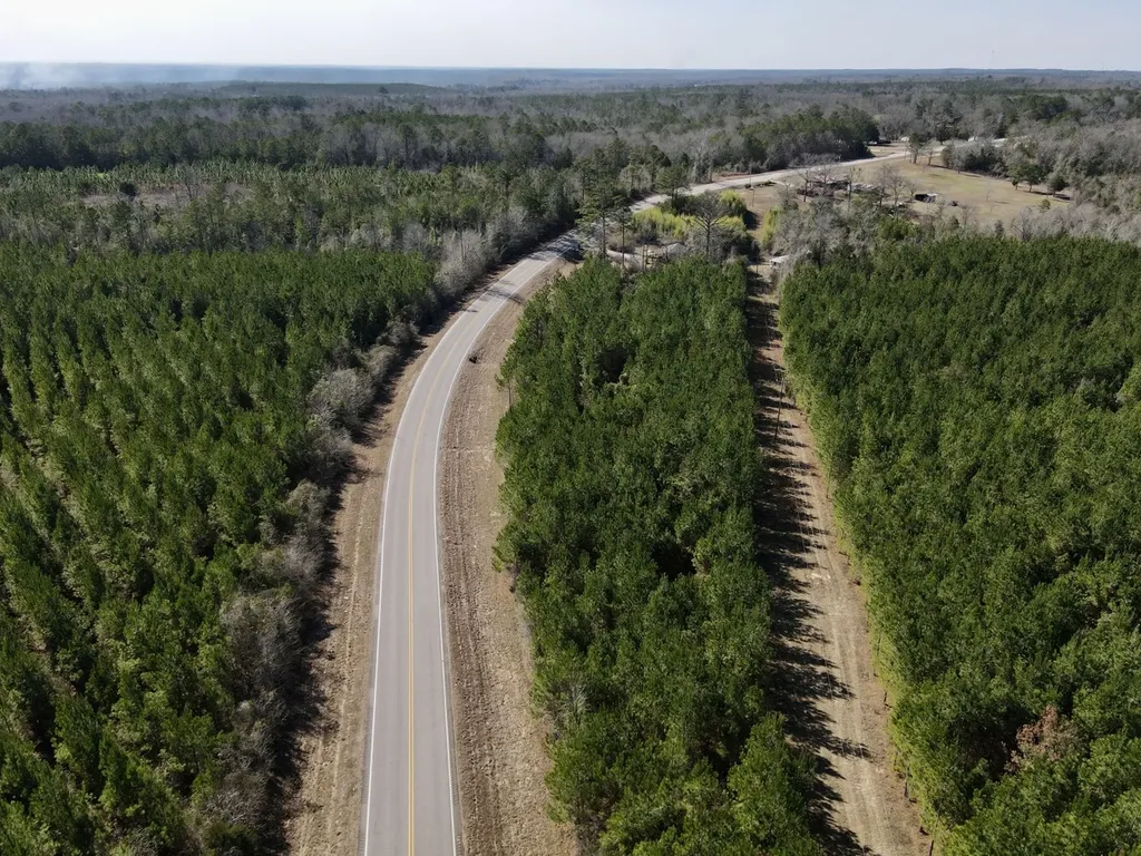 0 Pineapple Highway Greenville AL 36037