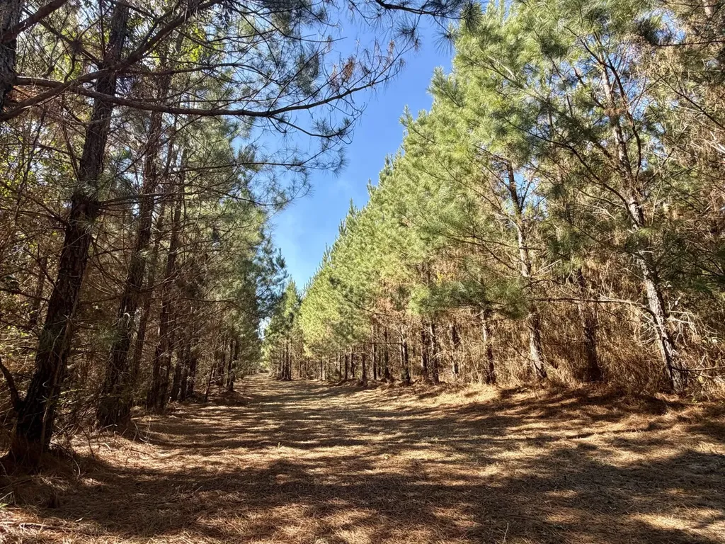 0 Pineapple Highway Greenville AL 36037