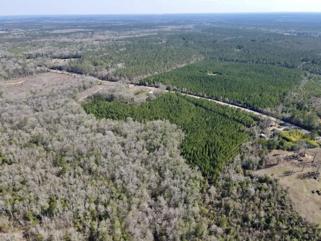 0 Pineapple Highway Greenville AL 36037