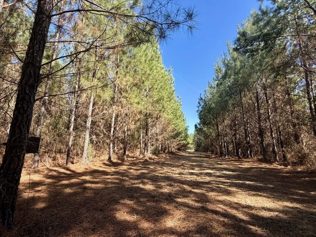 0 Pineapple Highway Greenville AL 36037