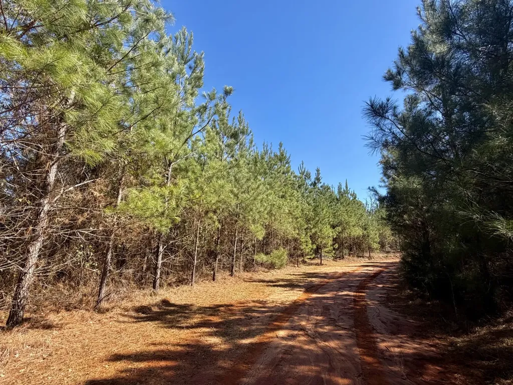 0 Pineapple Highway Greenville AL 36037