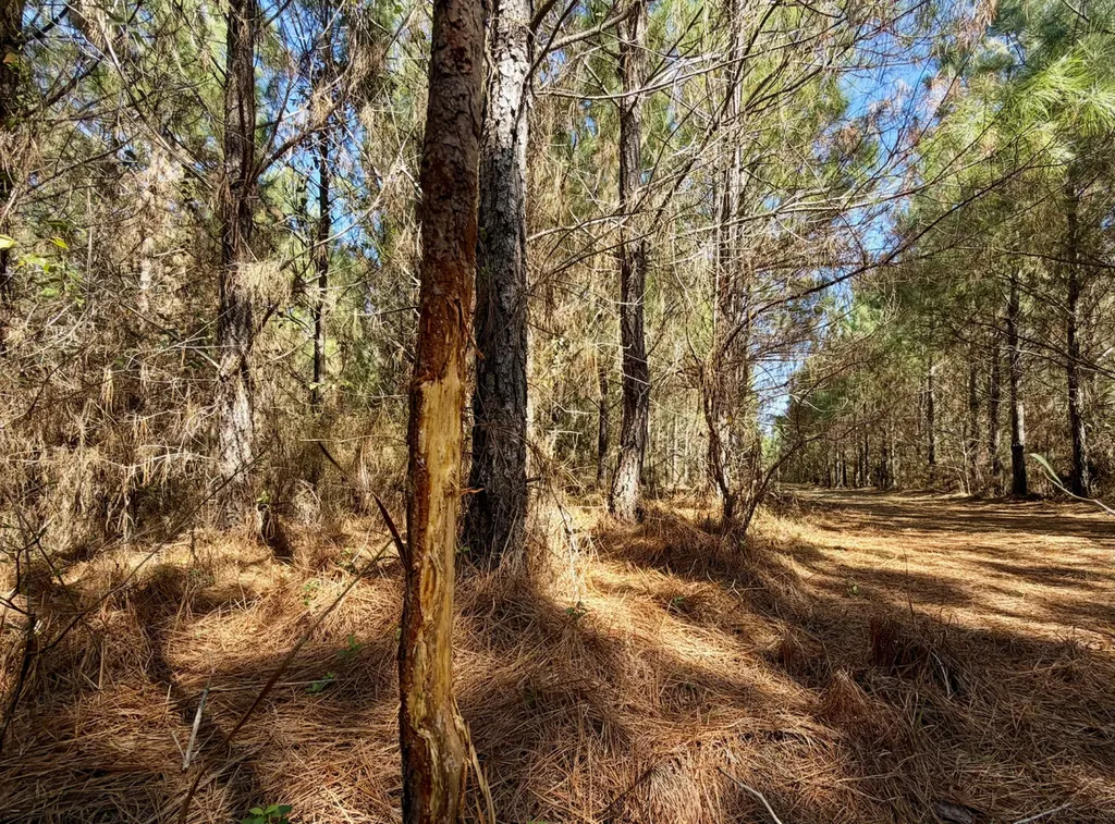 0 Pineapple Highway Greenville AL 36037