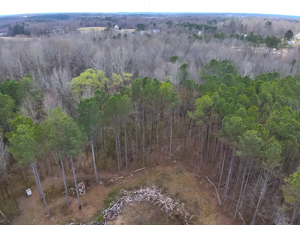 0 County Road 81 Phil Campbell AL 35581