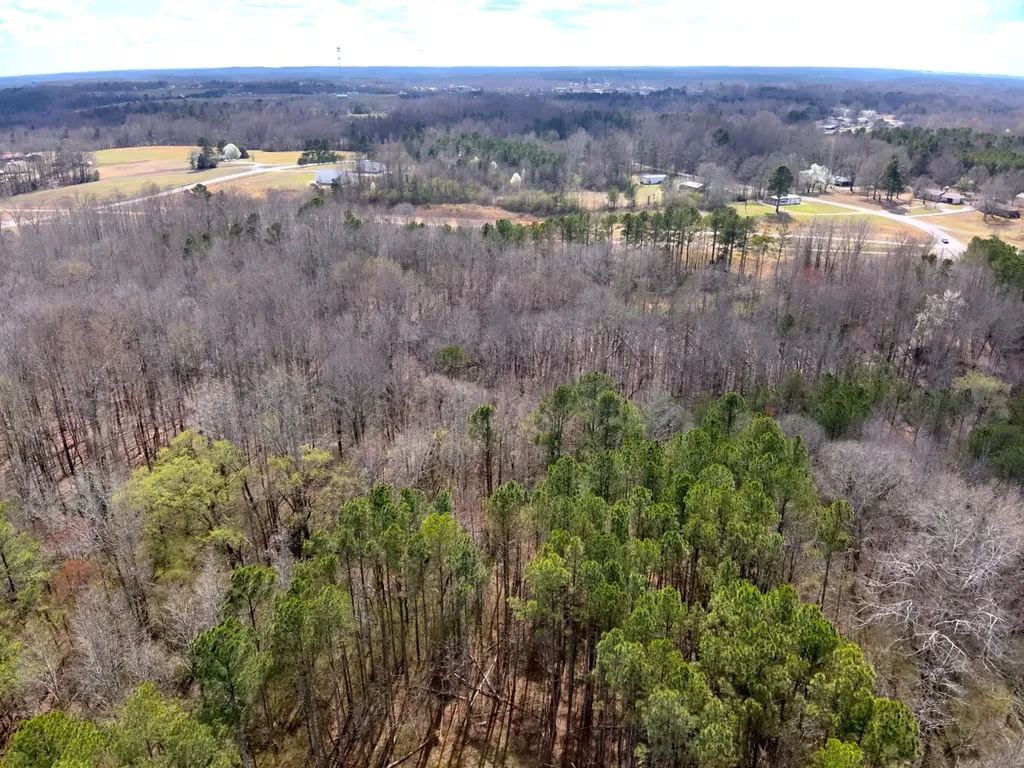 0 County Road 81 Phil Campbell AL 35581