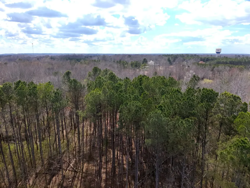 0 County Road 81 Phil Campbell AL 35581