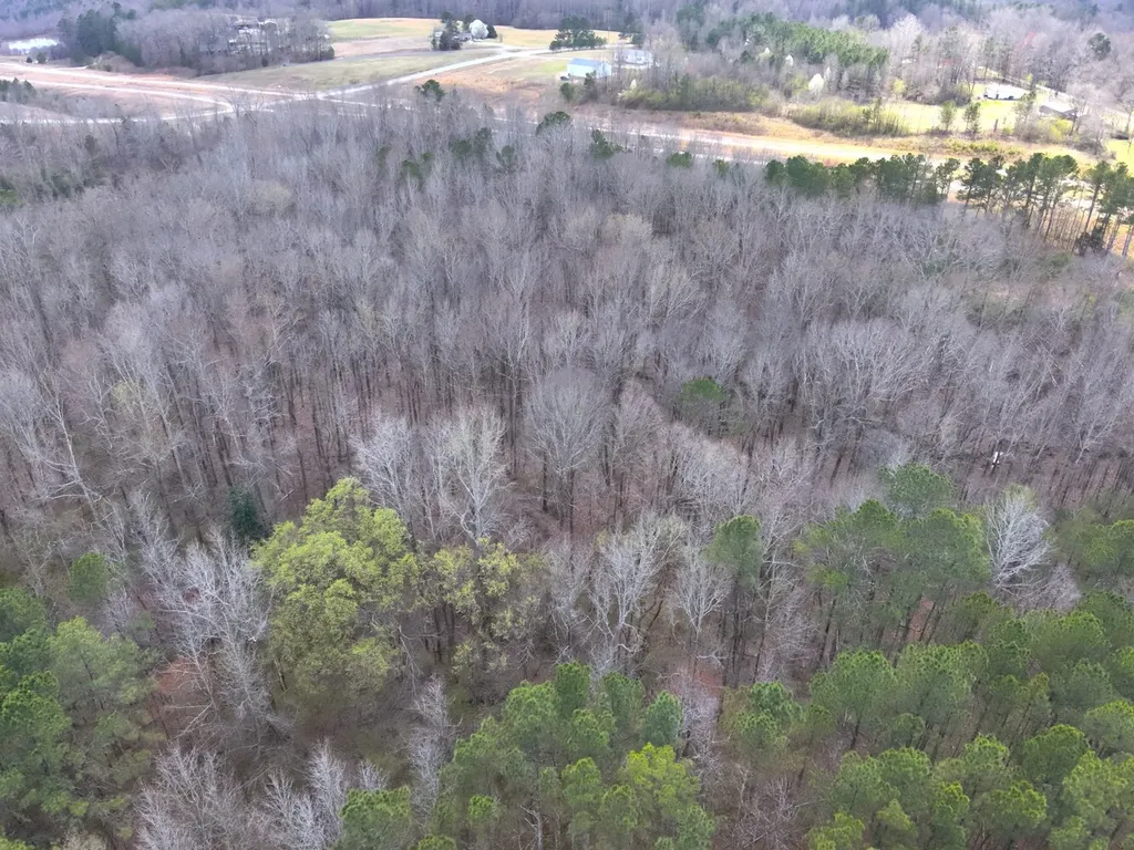 0 County Road 81 Phil Campbell AL 35581