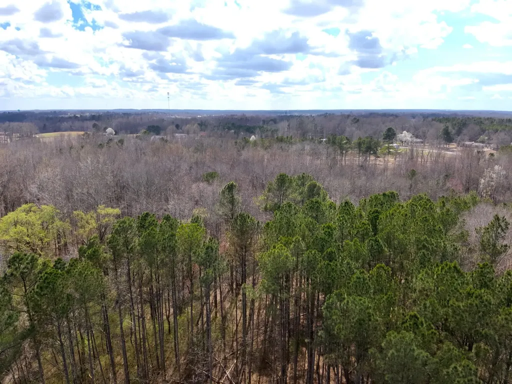 0 County Road 81 Phil Campbell AL 35581