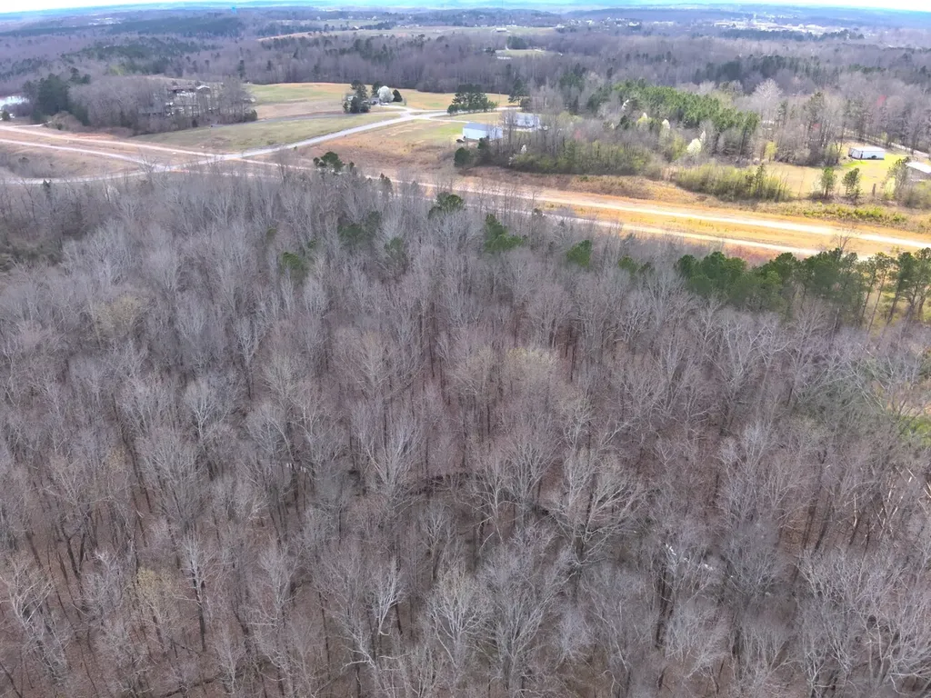 0 County Road 81 Phil Campbell AL 35581