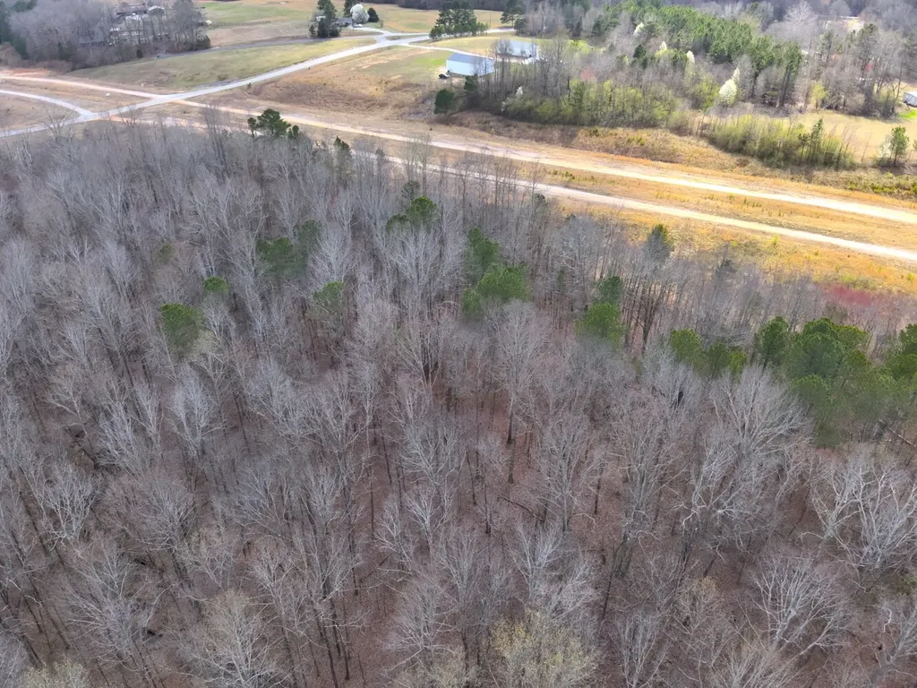 0 County Road 81 Phil Campbell AL 35581