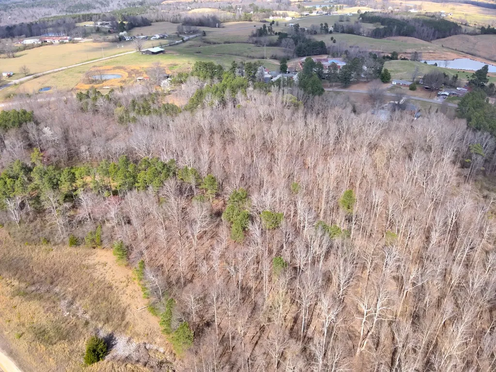 0 County Road 81 Phil Campbell AL 35581
