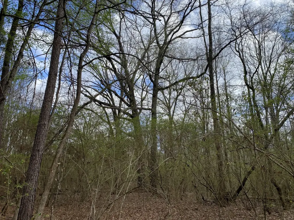 11TH Avenue Pleasant Grove AL 35127