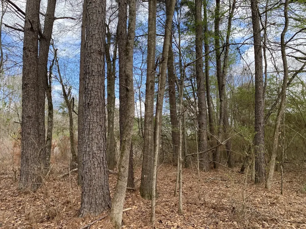 11TH Avenue Pleasant Grove AL 35127