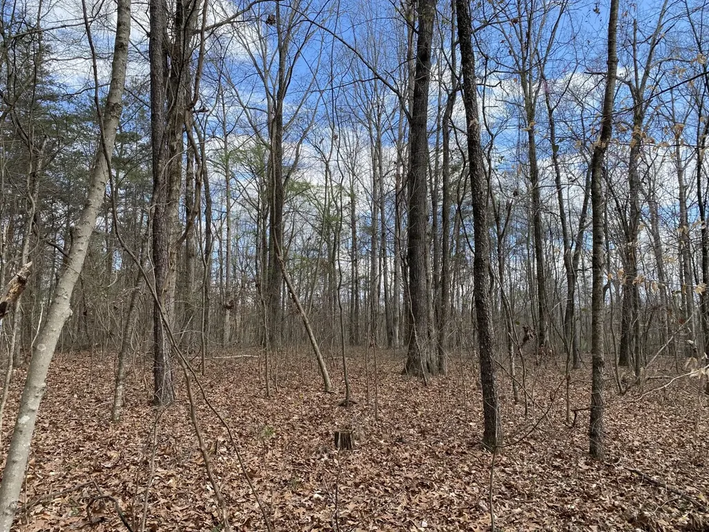 11TH Avenue Pleasant Grove AL 35127
