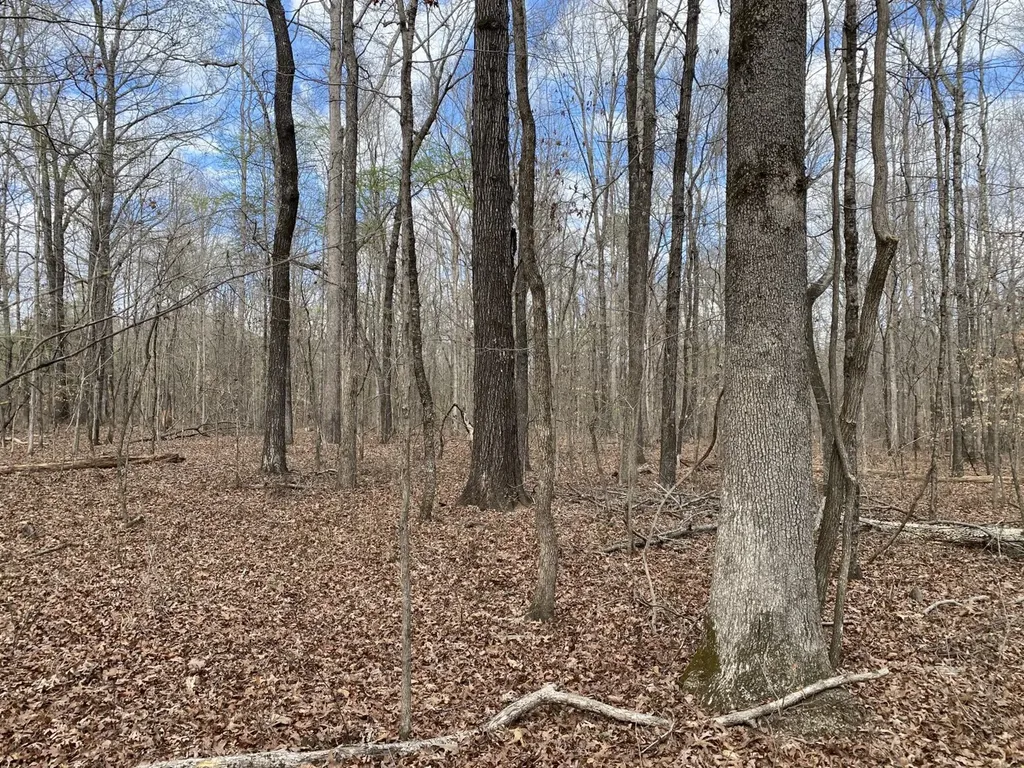 11TH Avenue Pleasant Grove AL 35127