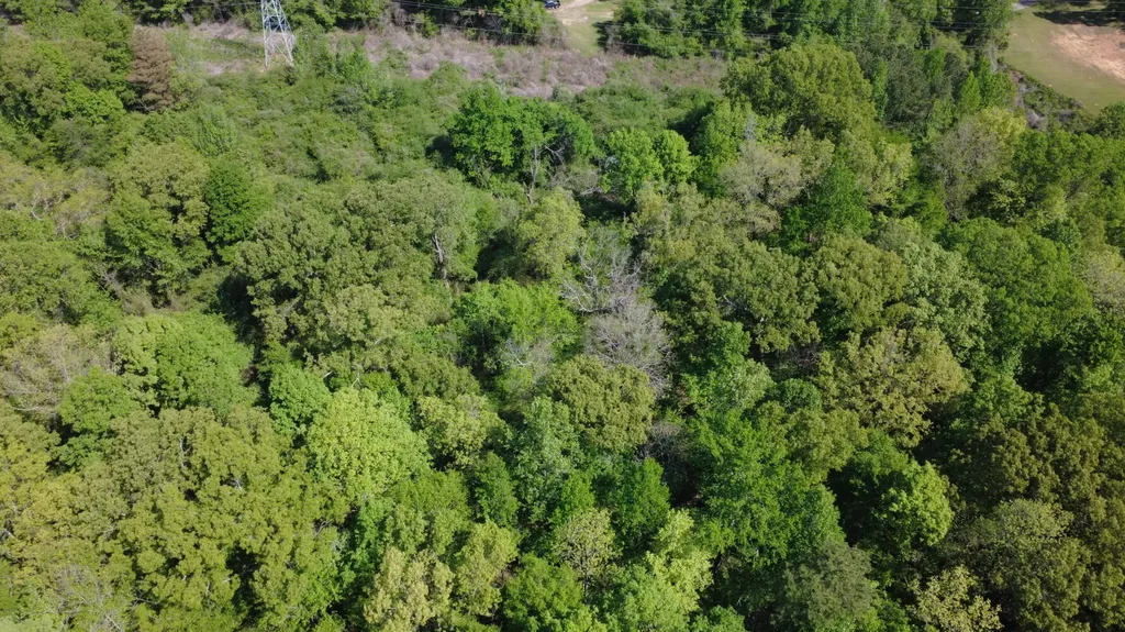 11TH Avenue Pleasant Grove AL 35127