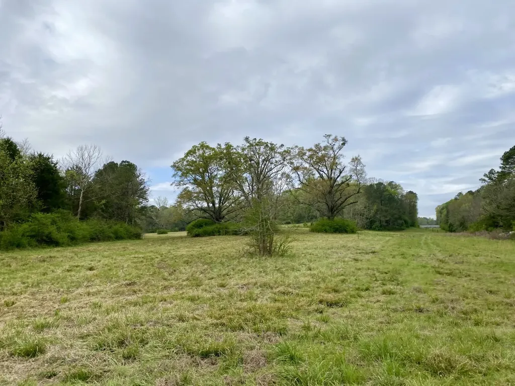 0 Highway 25 Vincent AL 35178