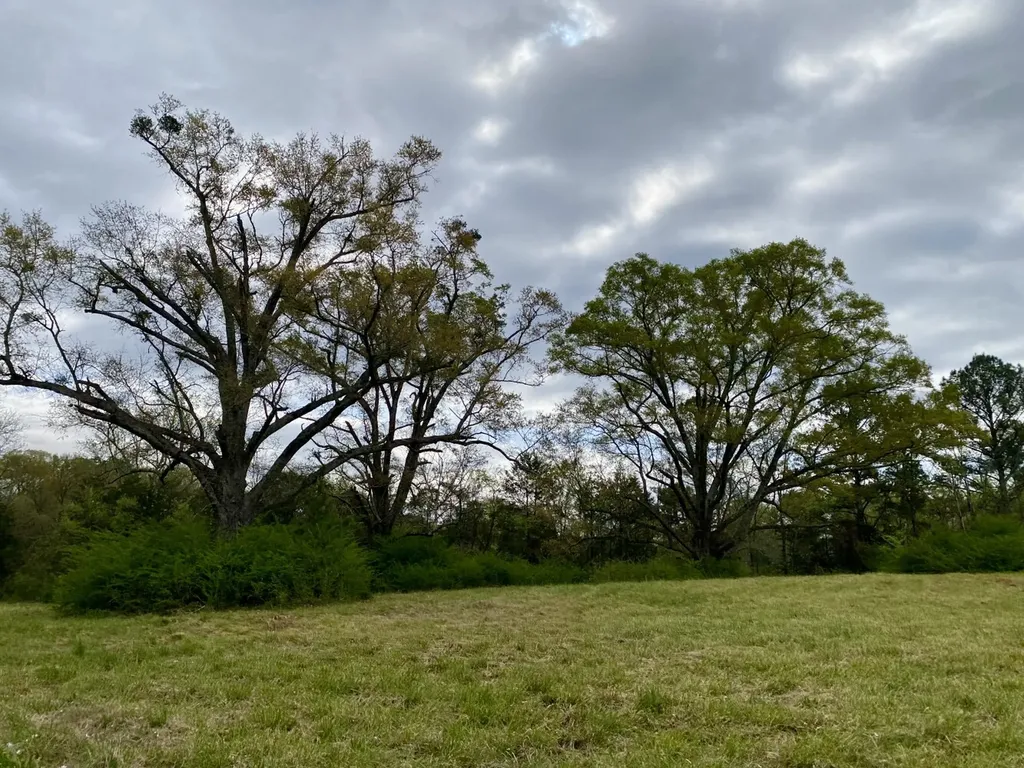 0 Highway 25 Vincent AL 35178