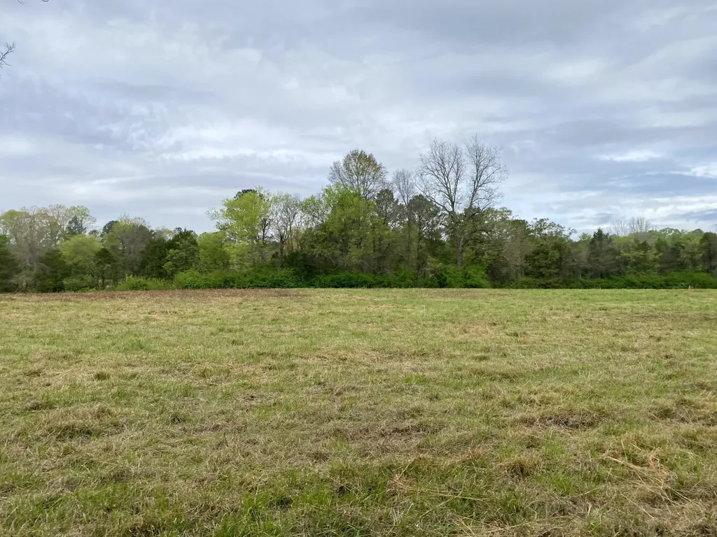 0 Highway 25 Vincent AL 35178