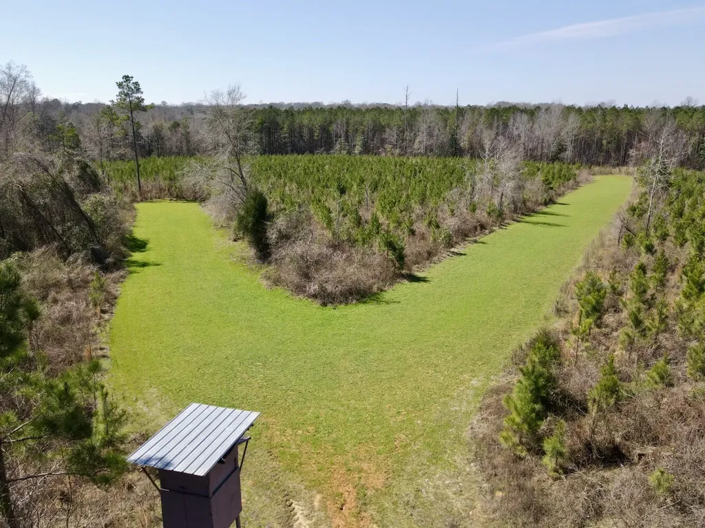 0 Co Road 71 Greenville AL 36037