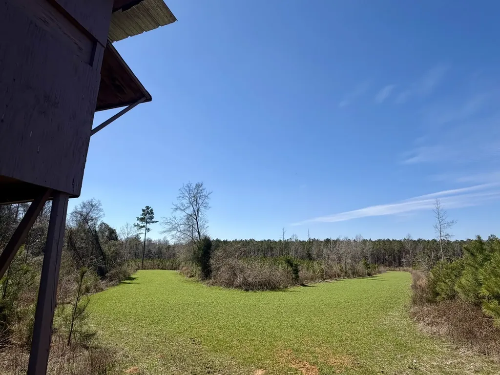 0 Co Road 71 Greenville AL 36037