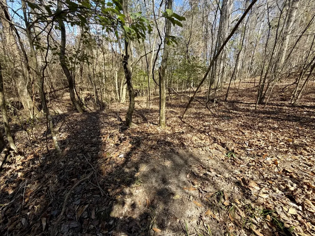 0 Co Road 71 Greenville AL 36037