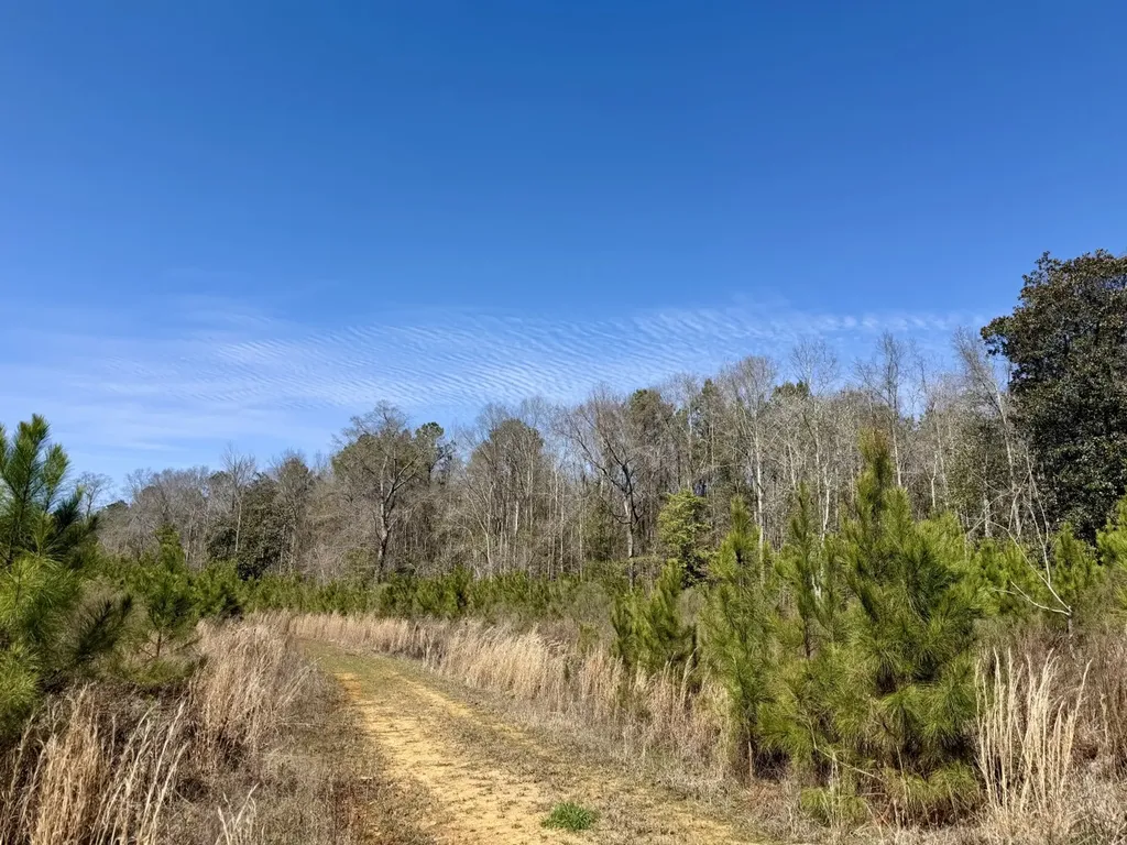0 Co Road 71 Greenville AL 36037