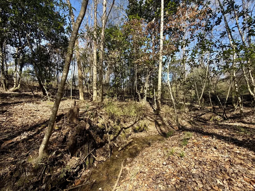 0 Co Road 71 Greenville AL 36037