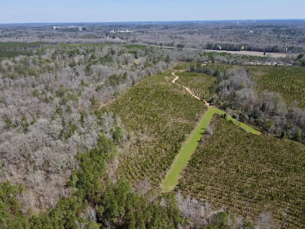 0 Co Road 71 Greenville AL 36037