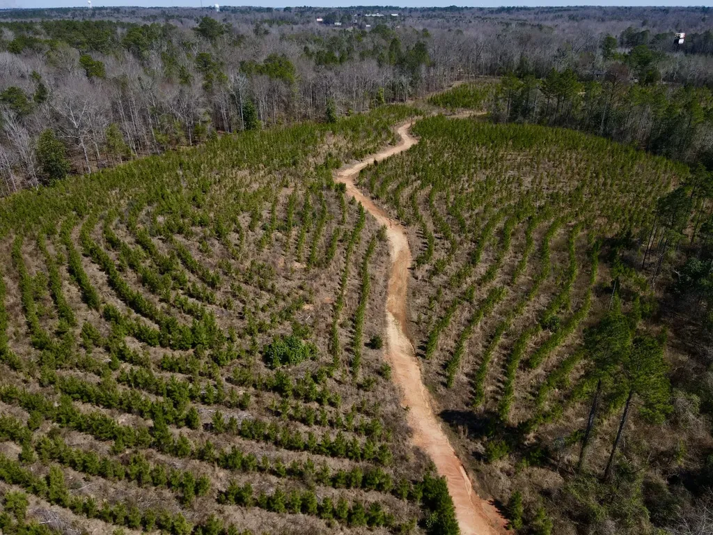 0 Co Road 71 Greenville AL 36037